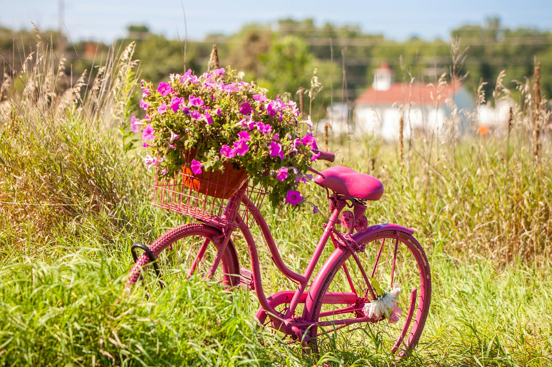 pexels-photo-9249939-1